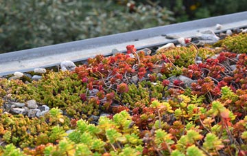 the cost of Trewithian green roof installation