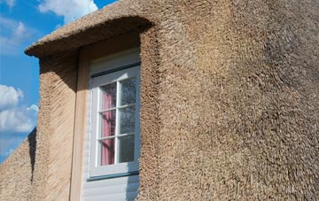 Trewithian thatch roof disadvantages