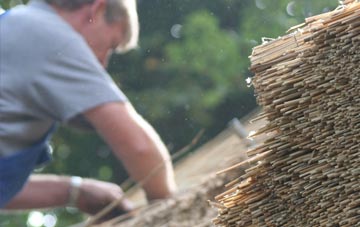 professional Trewithian thatchers